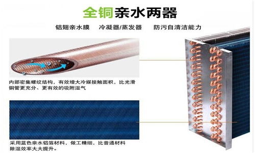 地下室倉庫使用除濕機，確保倉庫干燥無濕氣